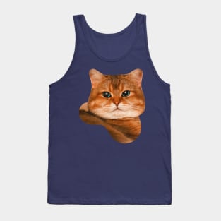 Brown tabby cat Tank Top